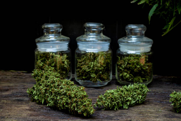 Cannabis Dispensary