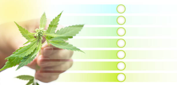Cannabis Menu Page